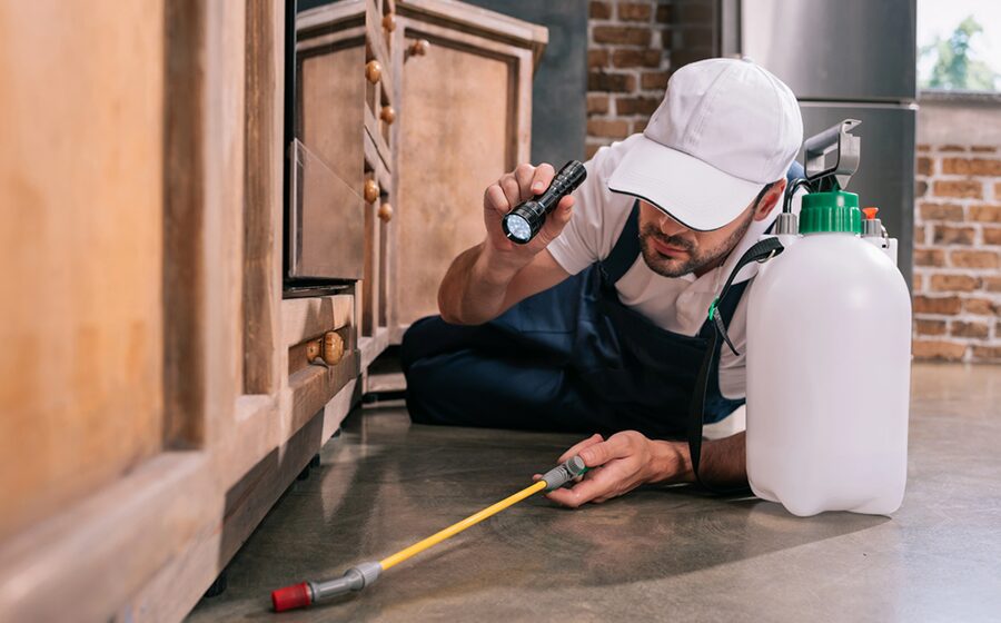 10 Staffing Roles Your Pest Control Business Should Outsource Today