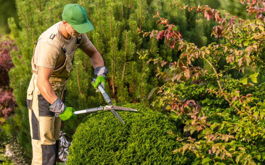 Tackling Landscaping Business Labor Shortages With Temporary Workers